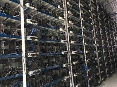 Expansive cryptocurrency mining farm with rows of connected rigs
