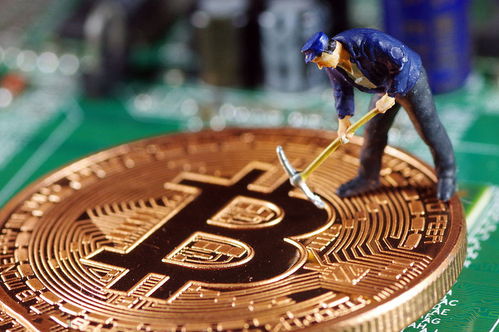 High-performance mining rigs connected via optimized network