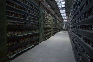 Close-up of a powerful ASIC miner, essential for Bitcoin mining operations