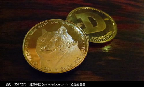 Dogecoin mining setup